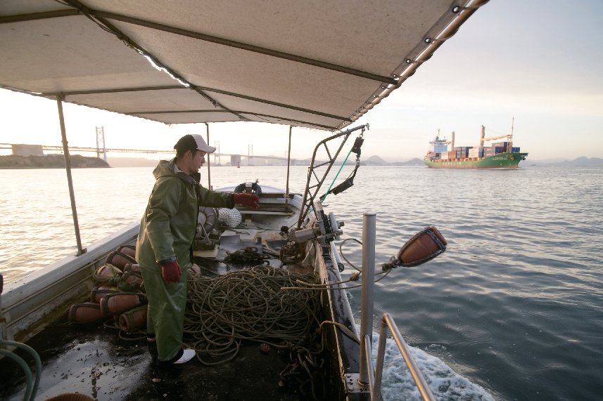 Fish that are the pride of Setouchi and Okayama