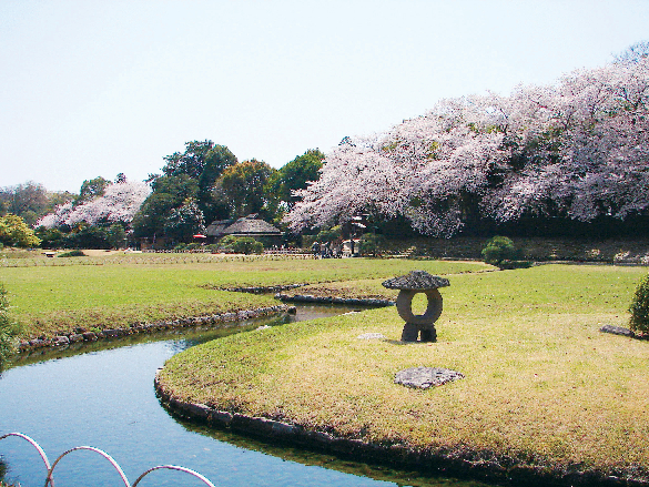 image06